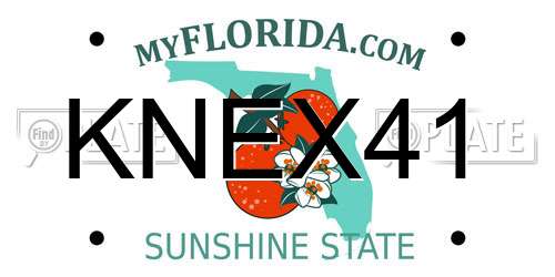KNEX41 Florida License Plate