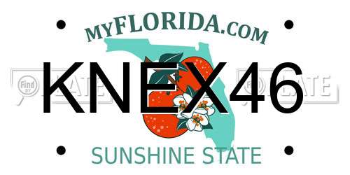 KNEX46 Florida License Plate
