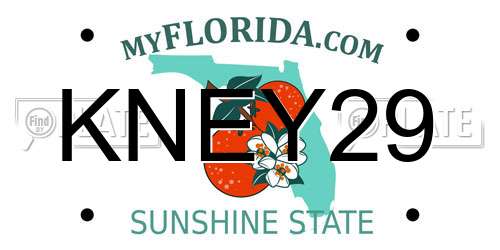 KNEY29 Florida License Plate