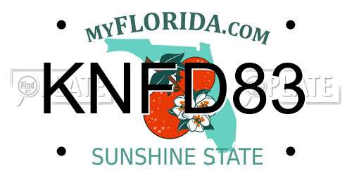 KNFD83 Florida License Plate