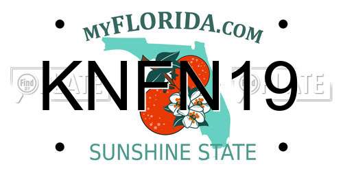 KNFN19 Florida License Plate