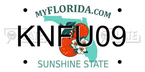 KNFU09 Florida License Plate