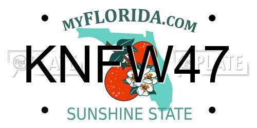 KNFW47 Florida License Plate