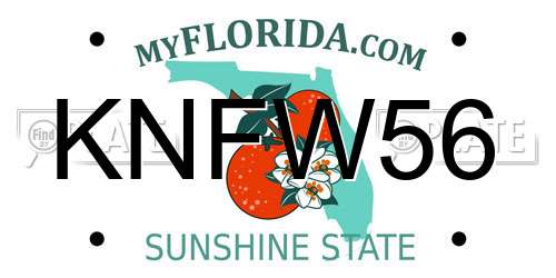 KNFW56 Florida License Plate