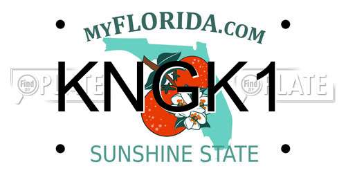 KNGK1 Florida License Plate