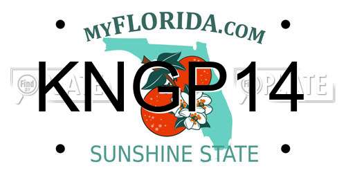 KNGP14 Florida License Plate