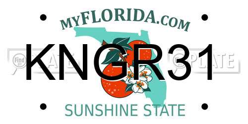 KNGR31 Florida License Plate
