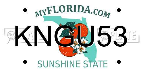 KNGU53 Florida License Plate