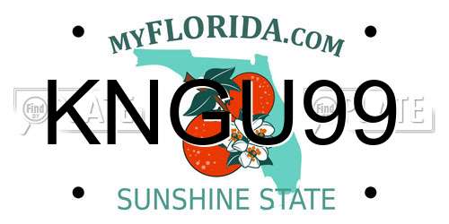 KNGU99 Florida License Plate