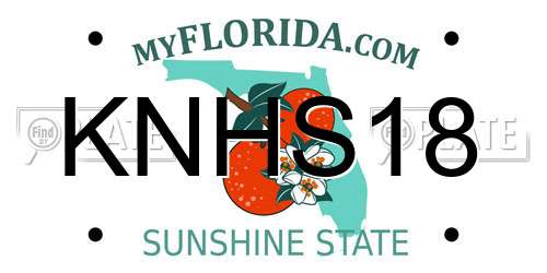 KNHS18 Florida License Plate