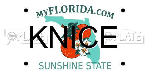 KNICE Florida License Plate