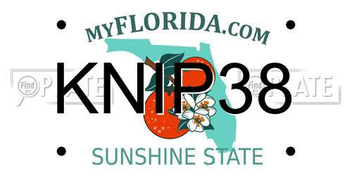 KNIP38 Florida License Plate