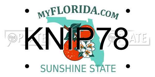 KNIP78 Florida License Plate