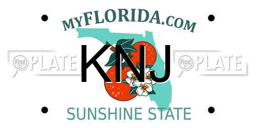 KNJ Florida License Plate