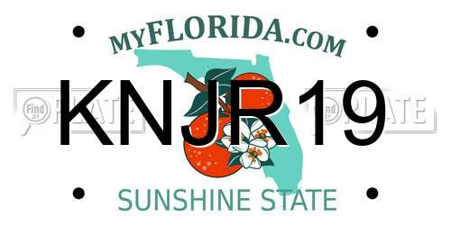KNJR19 Florida License Plate