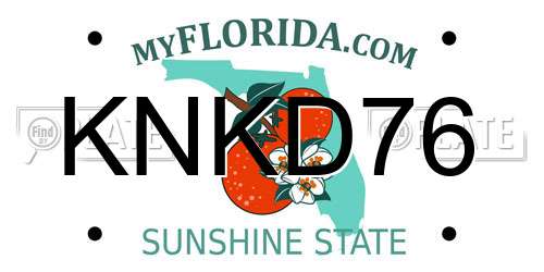 KNKD76 Florida License Plate