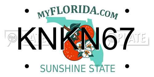 KNKN67 Florida License Plate