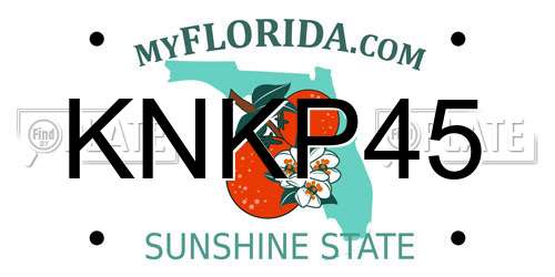KNKP45 Florida License Plate