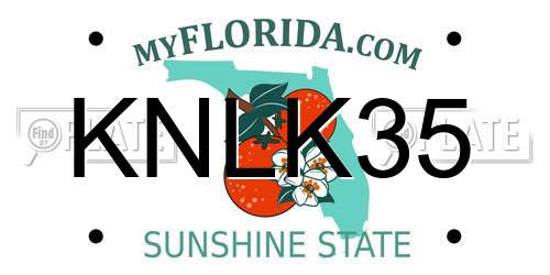 KNLK35 Florida License Plate