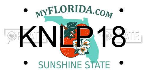 KNLP18 Florida License Plate