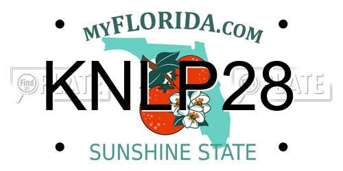KNLP28 Florida License Plate