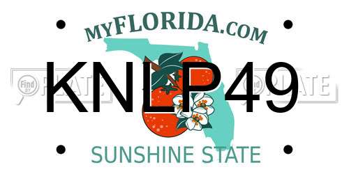 KNLP49 Florida License Plate