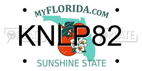 KNLP82 Florida License Plate