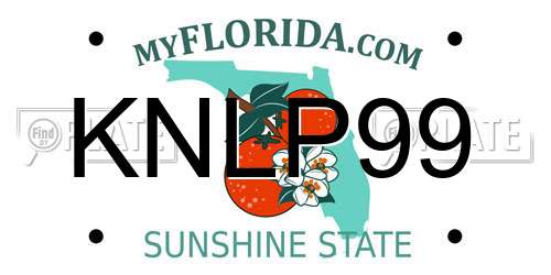KNLP99 Florida License Plate