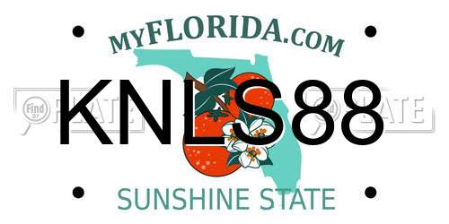 KNLS88 Florida License Plate