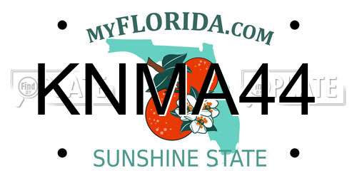 KNMA44 Florida License Plate