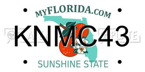 KNMC43 Florida License Plate