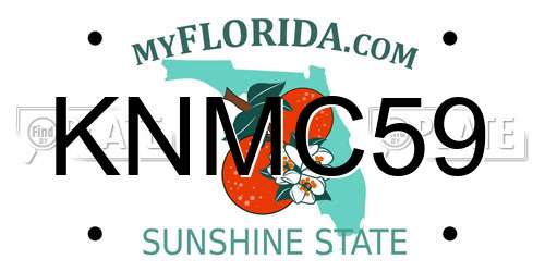 KNMC59 Florida License Plate