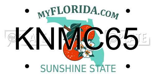 KNMC65 Florida License Plate