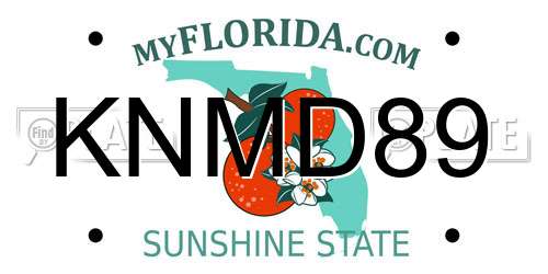 KNMD89 Florida License Plate
