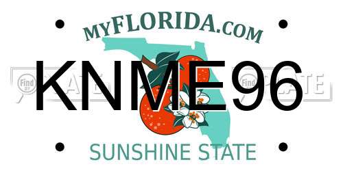 KNME96 Florida License Plate