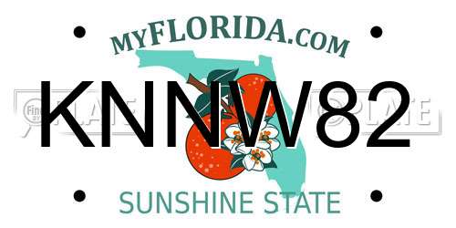 KNNW82 Florida License Plate