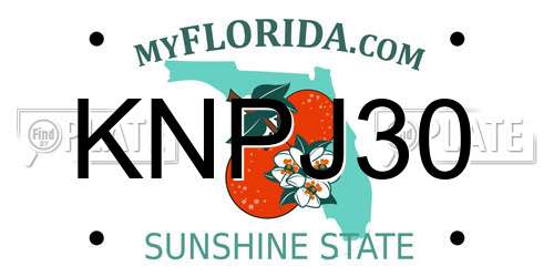 KNPJ30 Florida License Plate