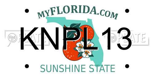 KNPL13 Florida License Plate
