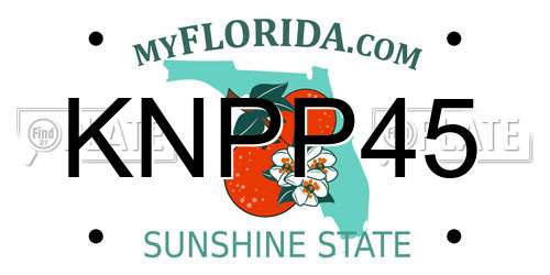 KNPP45 Florida License Plate