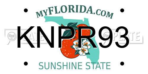 KNPR93 Florida License Plate