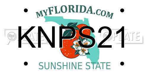 KNPS21 Florida License Plate