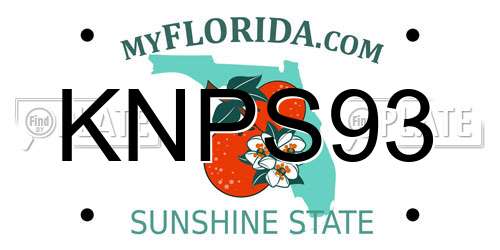 KNPS93 Florida License Plate