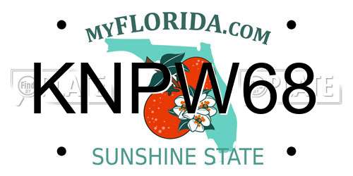 KNPW68 Florida License Plate
