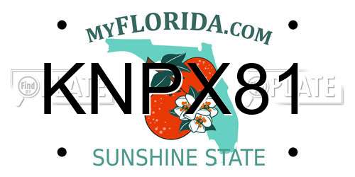 KNPX81 Florida License Plate