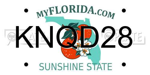 KNQD28 Florida License Plate