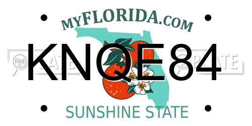 KNQE84 Florida License Plate