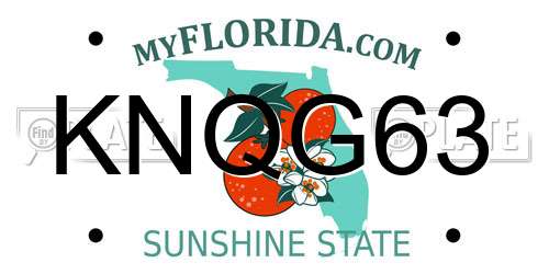 KNQG63 Florida License Plate