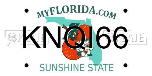 KNQI66 Florida License Plate