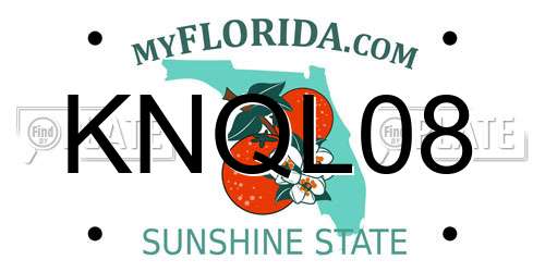 KNQL08 Florida License Plate