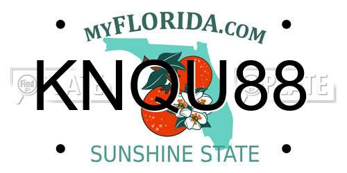KNQU88 Florida License Plate